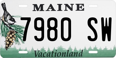 ME license plate 7980SW