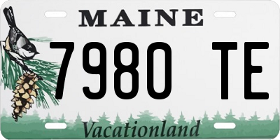 ME license plate 7980TE