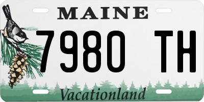 ME license plate 7980TH