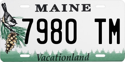 ME license plate 7980TM