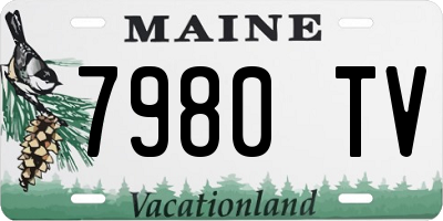 ME license plate 7980TV