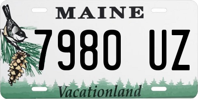 ME license plate 7980UZ