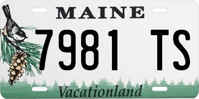 ME license plate 7981TS