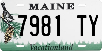 ME license plate 7981TY