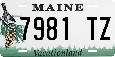 ME license plate 7981TZ