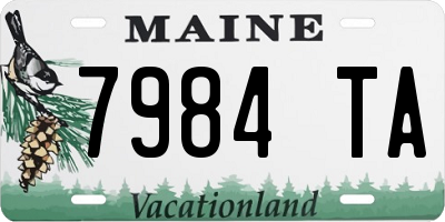 ME license plate 7984TA