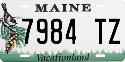 ME license plate 7984TZ