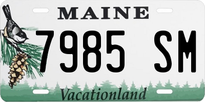 ME license plate 7985SM