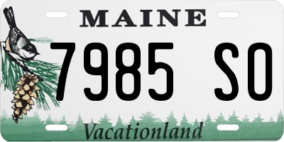 ME license plate 7985SO