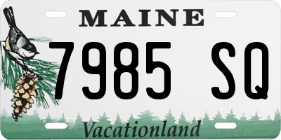 ME license plate 7985SQ