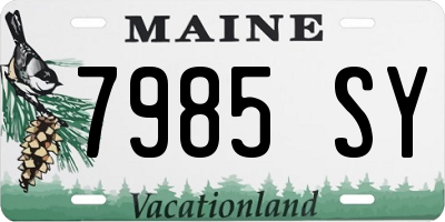 ME license plate 7985SY