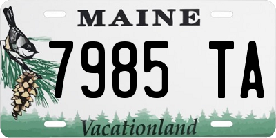 ME license plate 7985TA
