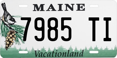 ME license plate 7985TI