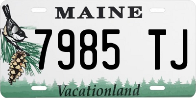 ME license plate 7985TJ