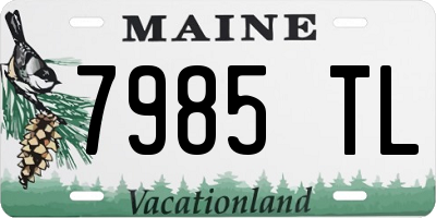 ME license plate 7985TL