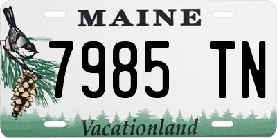 ME license plate 7985TN
