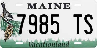 ME license plate 7985TS