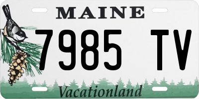 ME license plate 7985TV