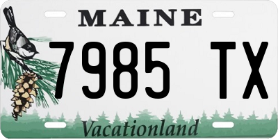 ME license plate 7985TX