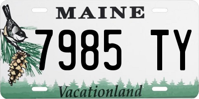 ME license plate 7985TY