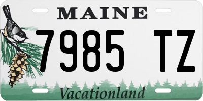 ME license plate 7985TZ