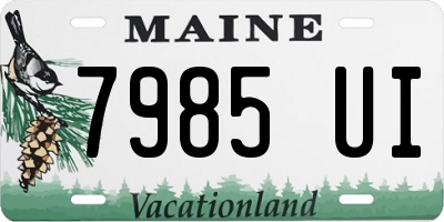 ME license plate 7985UI