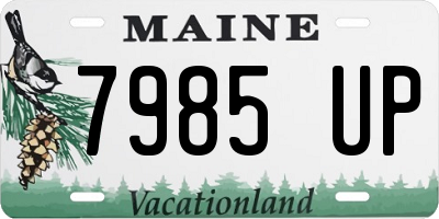 ME license plate 7985UP