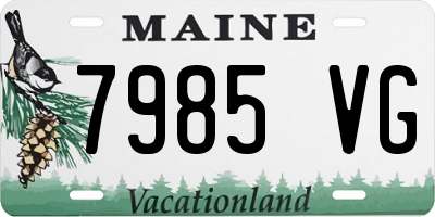 ME license plate 7985VG