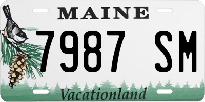 ME license plate 7987SM