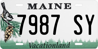 ME license plate 7987SY