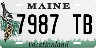 ME license plate 7987TB