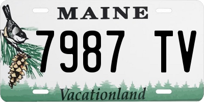 ME license plate 7987TV