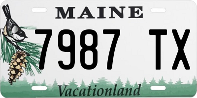 ME license plate 7987TX