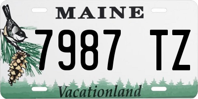 ME license plate 7987TZ