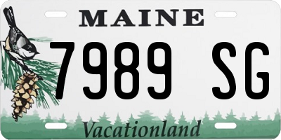 ME license plate 7989SG