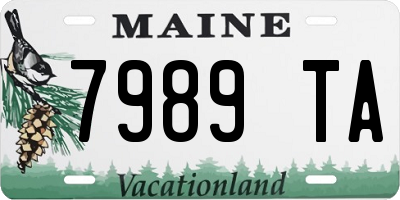 ME license plate 7989TA