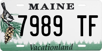 ME license plate 7989TF