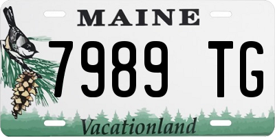 ME license plate 7989TG