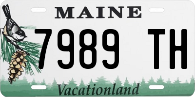 ME license plate 7989TH