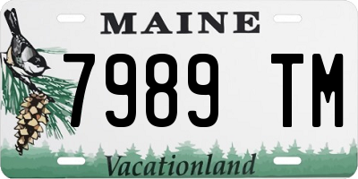 ME license plate 7989TM