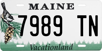 ME license plate 7989TN