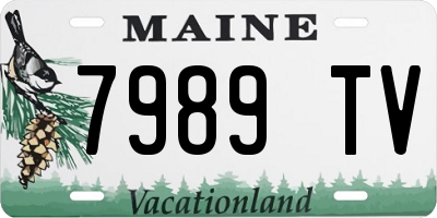 ME license plate 7989TV