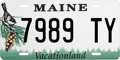 ME license plate 7989TY