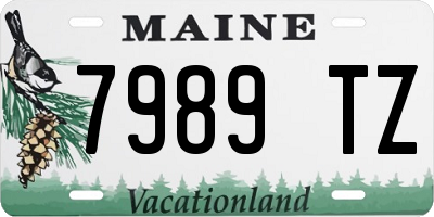 ME license plate 7989TZ