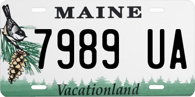 ME license plate 7989UA