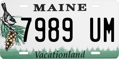 ME license plate 7989UM