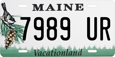 ME license plate 7989UR