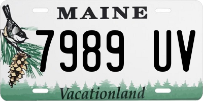 ME license plate 7989UV