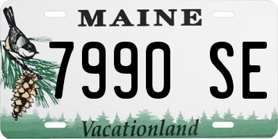 ME license plate 7990SE