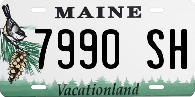 ME license plate 7990SH